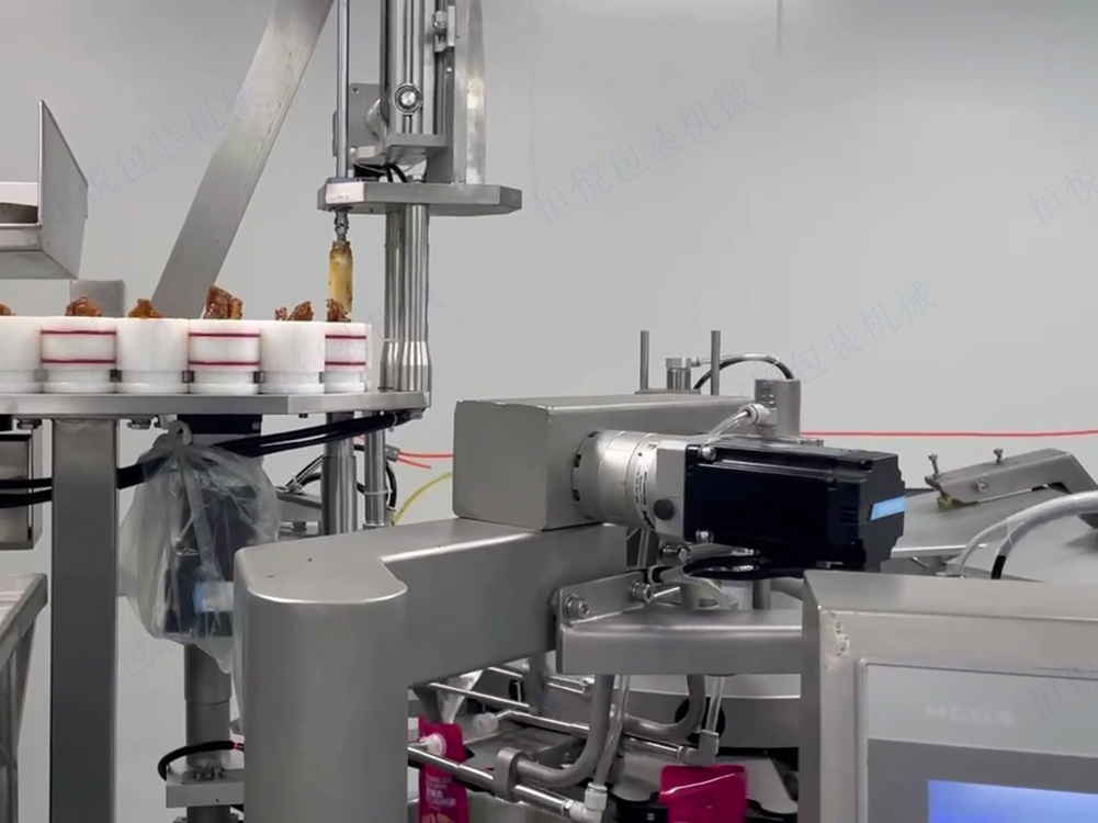 给袋式自动真空包装机