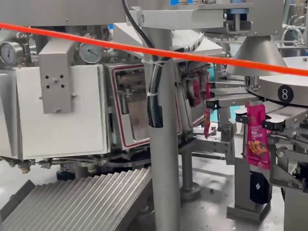 给袋真空包装机