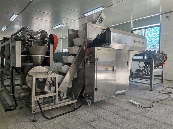 米线湿粉条包装机，鲜湿粉专用