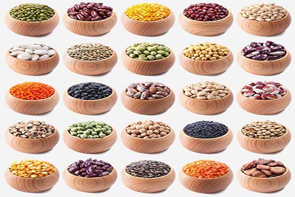 电子定量包装秤适用范围